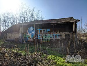 image_11
