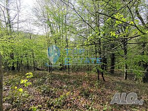 Парцел в регулация в с. Боженци