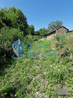 image_7