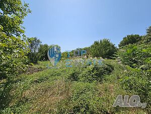 image_14