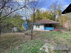 image_9