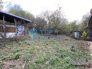 image_11