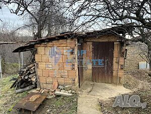 image_10