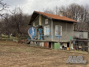 image_11