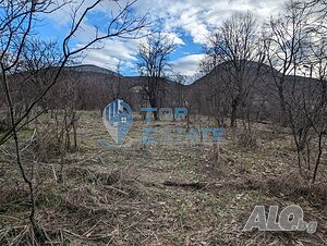 image_10