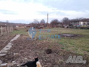 image_6