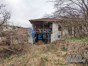 image_9