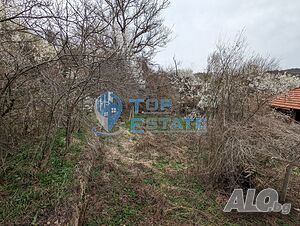 image_15