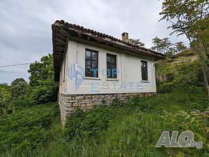 image_9