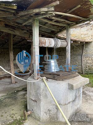 image_11