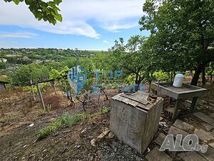 image_3