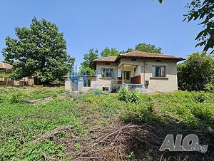 image_5