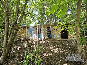 image_6