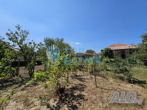 image_15