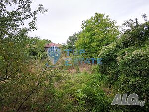 image_10