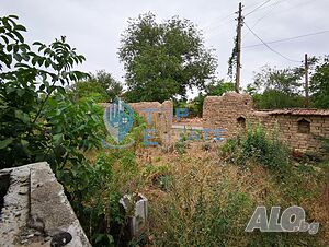 image_10