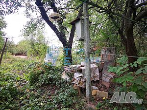 image_11