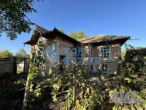 image_15
