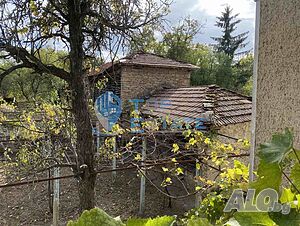 image_11