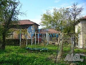 image_14