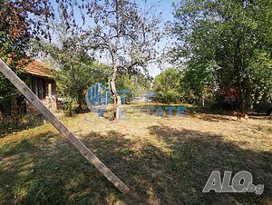 image_11