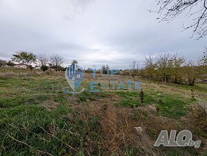 image_10