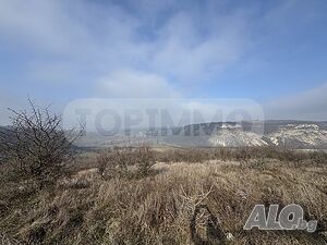 image_14