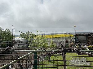 image_7