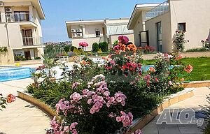 image_15