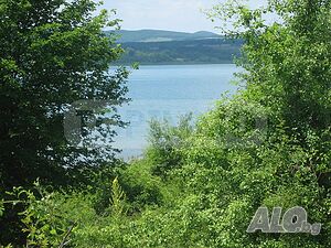 Иглолистна гора с разрешение за бунгало край язовир Цонево