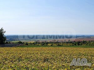 image_2