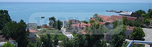 image_8