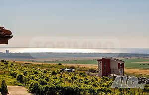 image_11