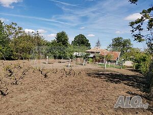 image_10