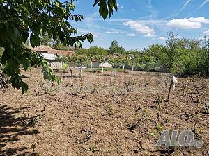 image_11