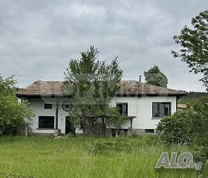 image_8