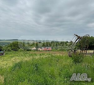 image_6