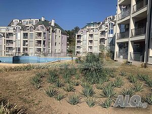 image_8