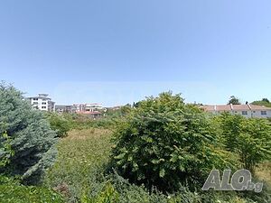 image_12