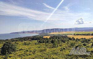 image_15