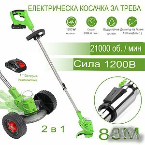 image_2