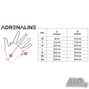 image_3