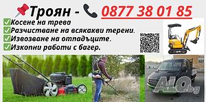 image_3