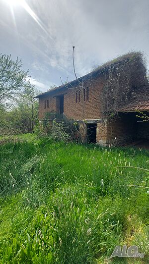 image_9