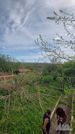 image_11