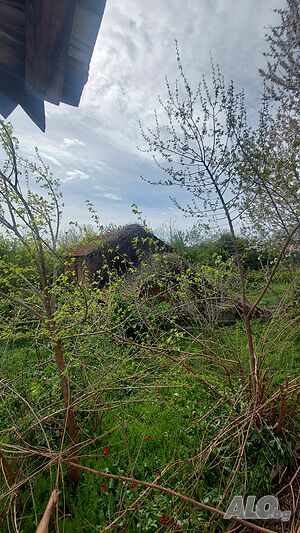 image_12