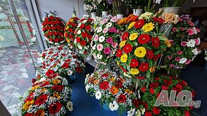 image_15