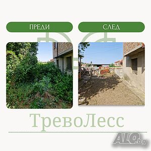 image_5