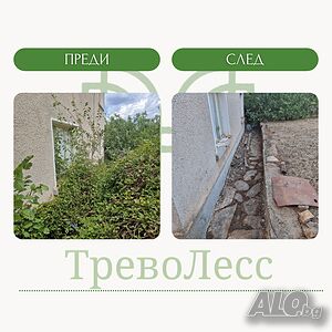 image_6