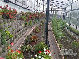 image_10